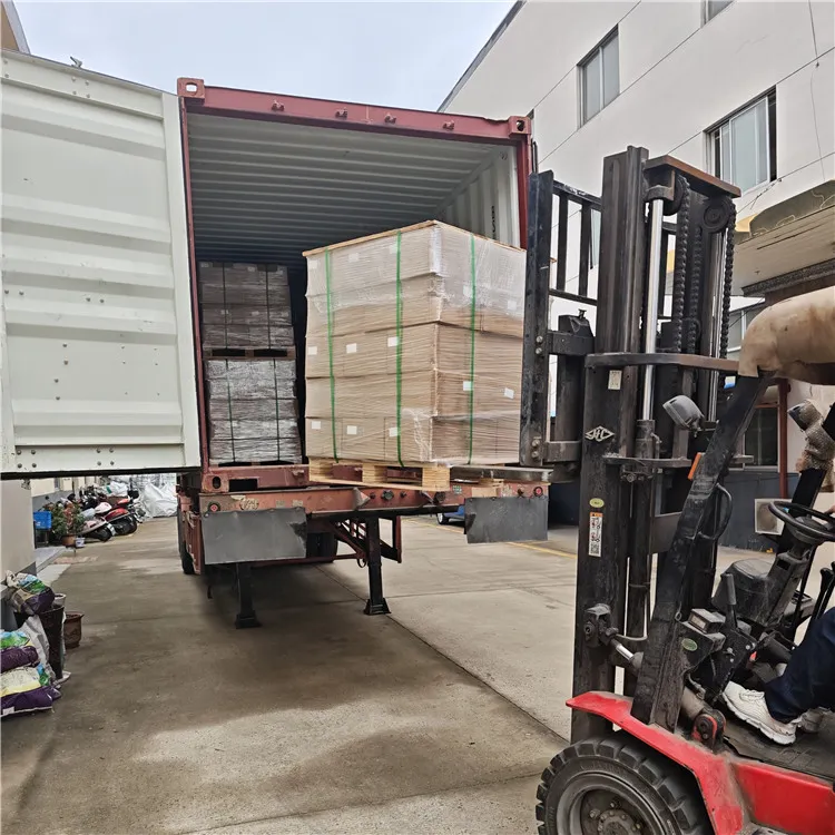 Enviamos 30,000 juegos de cinturones de seguridad a Egipto